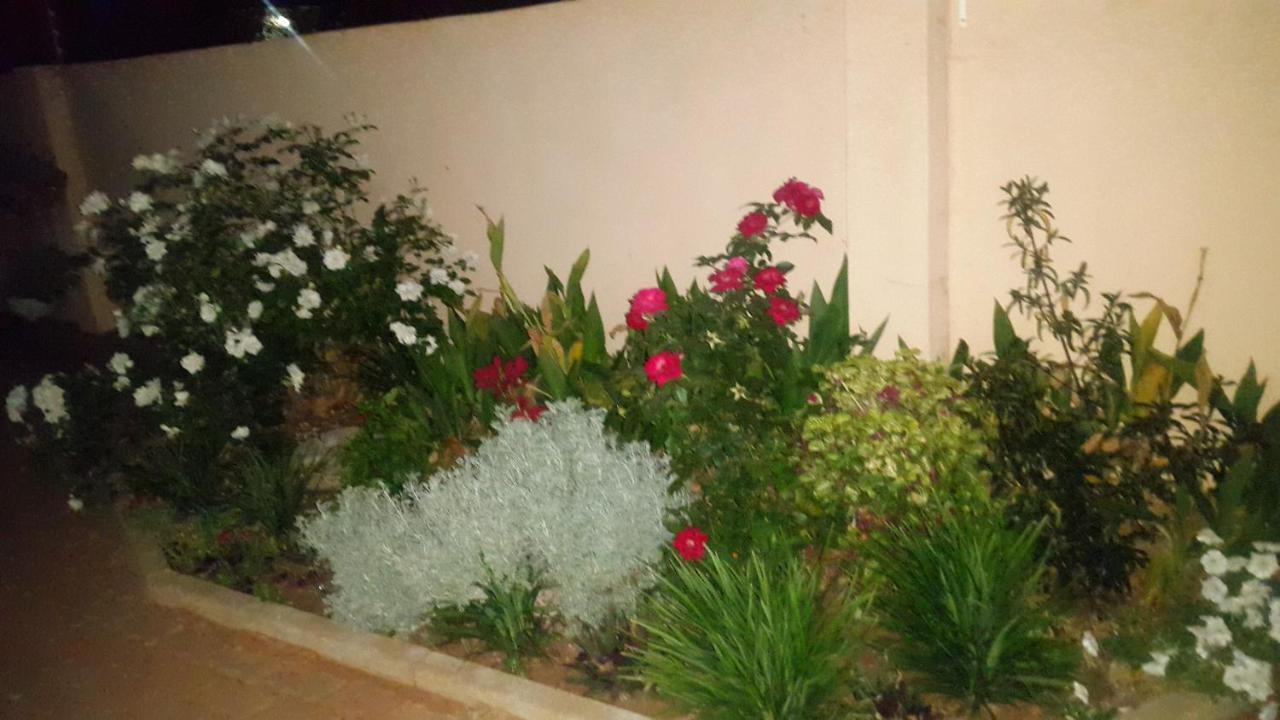 Tintech Bed & Breakfast Francistown Bagian luar foto